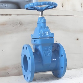 Gate Valve